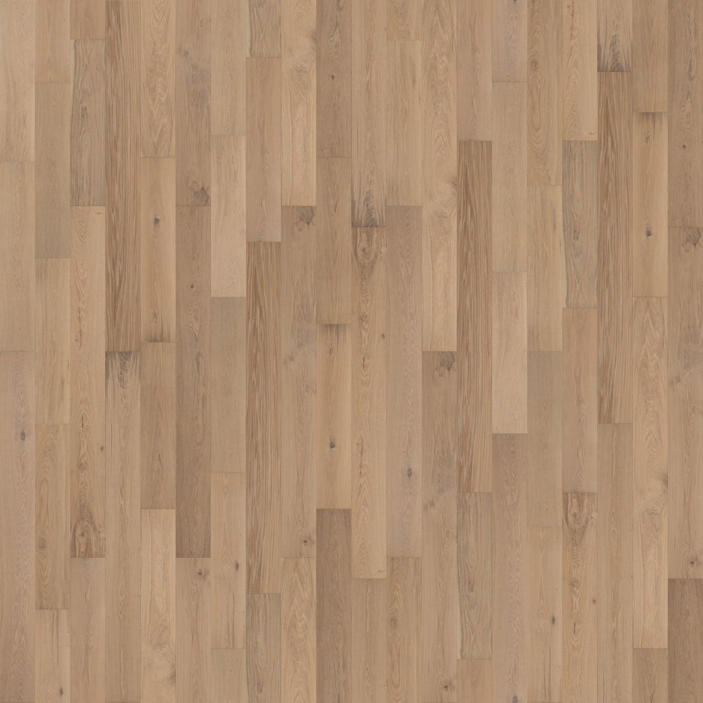 Sonoma Salt Oak - Barrel - European White Oak - Engineered Flooring - 7.5 in.