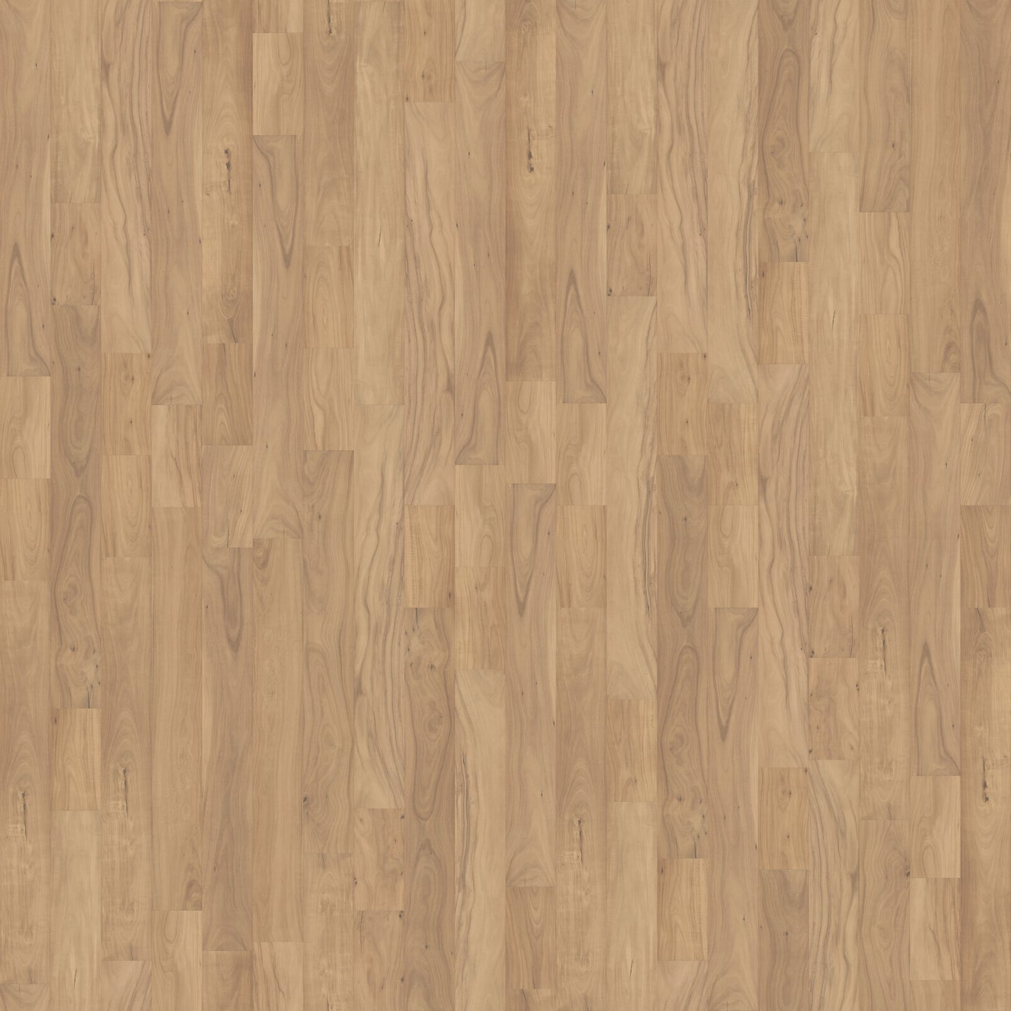 Clarified Acacia - Engineered Flooring - 7.5 inch