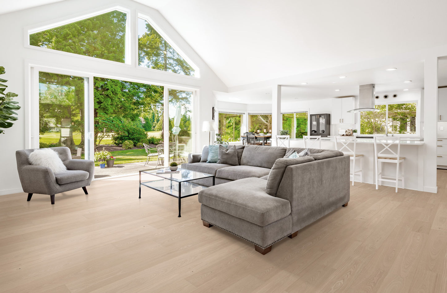Clarified Ash - Engineered Flooring - 7.5 in