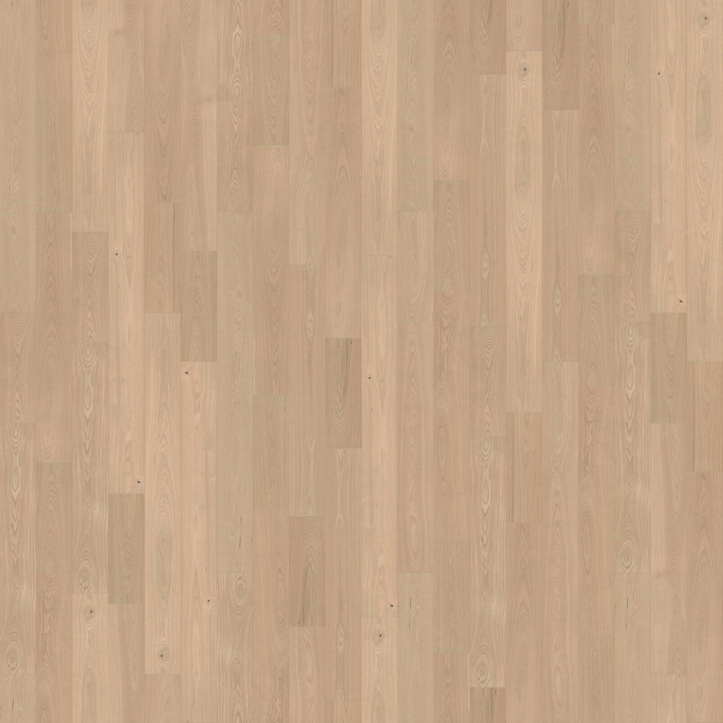 Clarified Ash - Engineered Flooring - 7.5 in