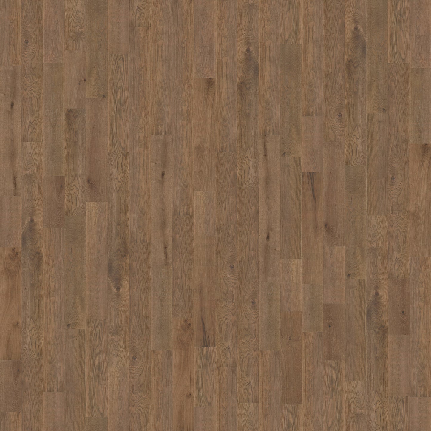 Cava Cove - European White Oak - Engineered Flooring - 7.5 in.