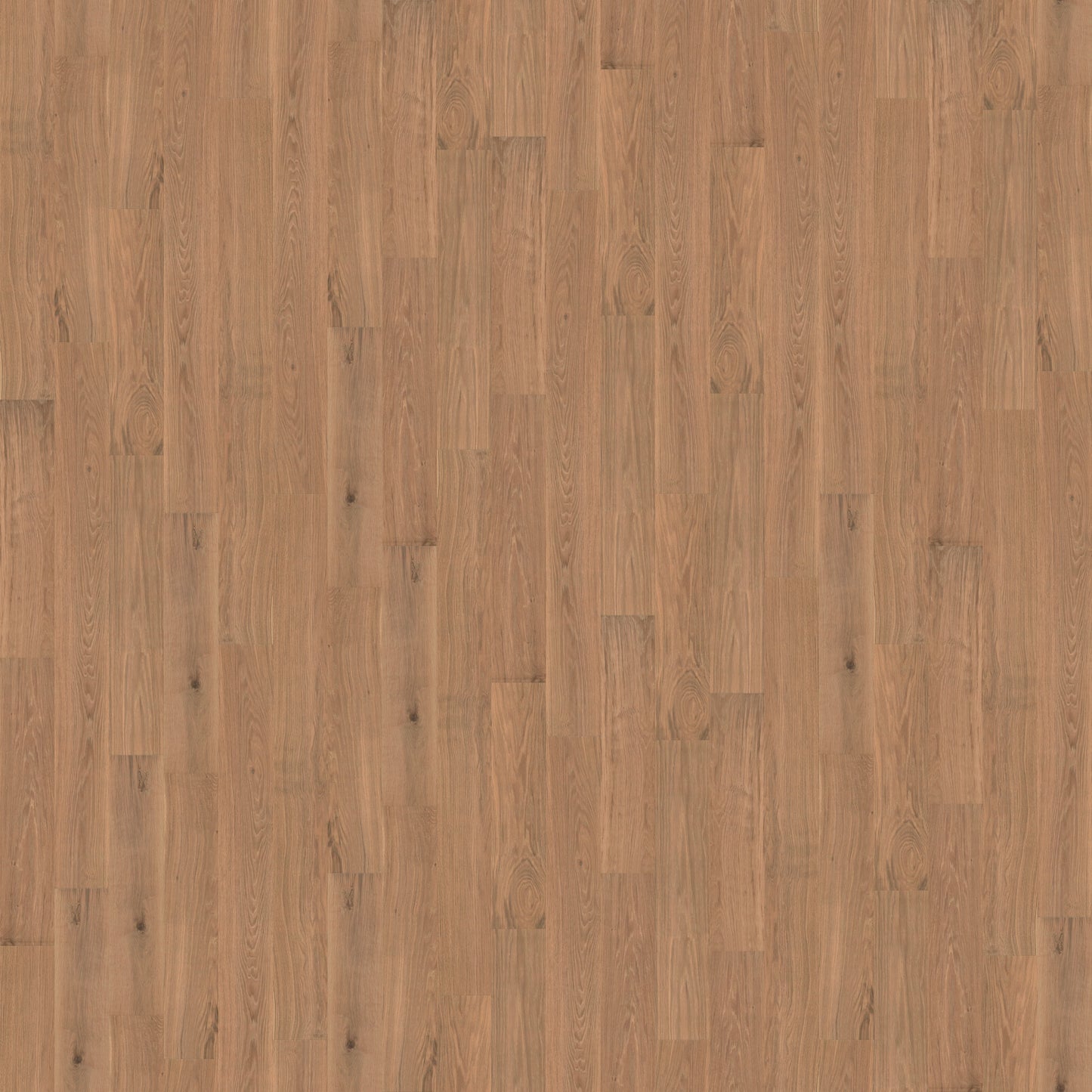 Champagne Sea - European White Oak - Engineered Flooring - 7.5 in.