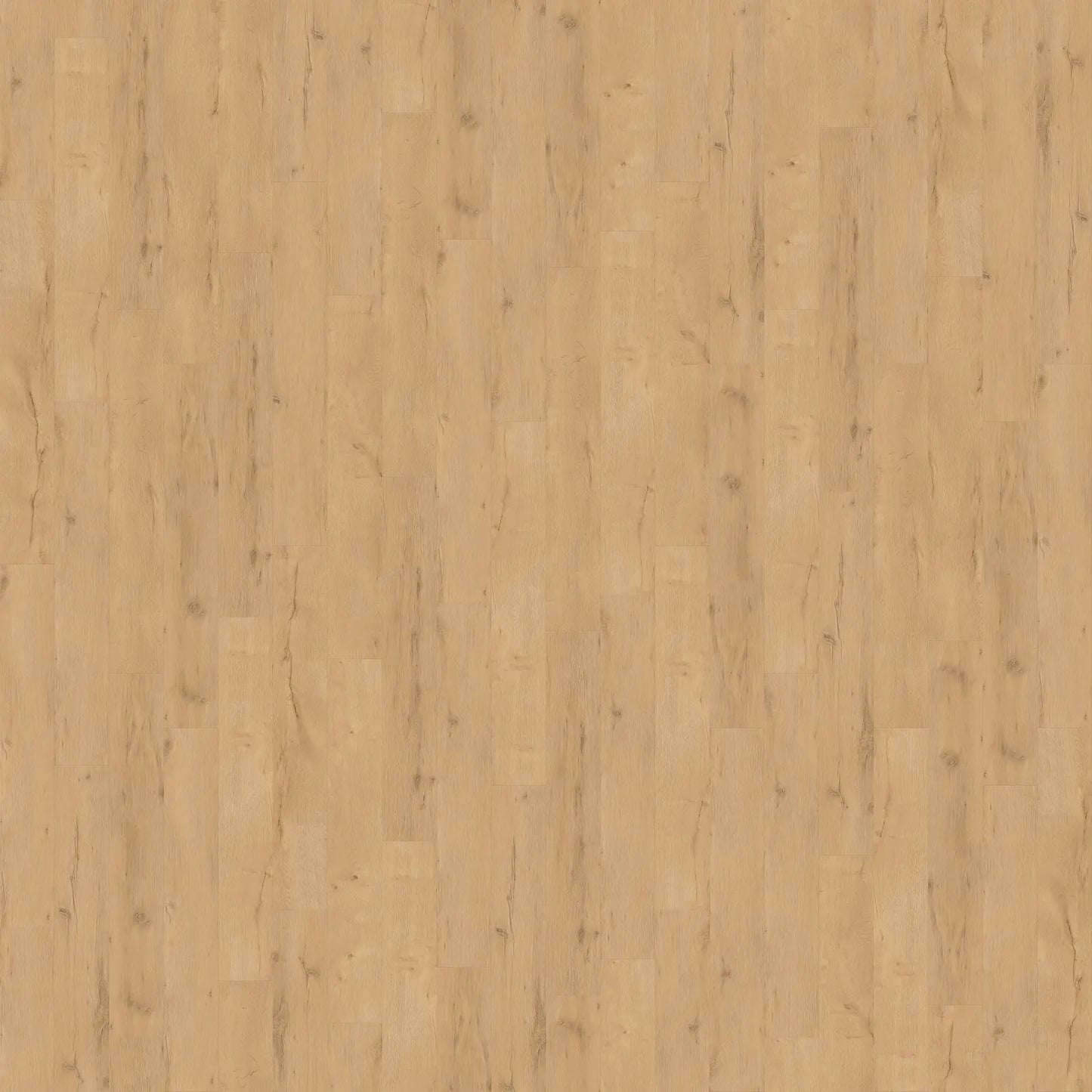 Hidden Palm LVP - 9 in. x 60 in.