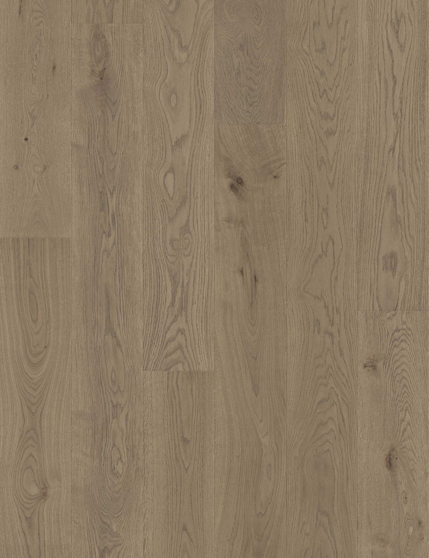 Long Beach - European Oak - Engineered Flooring - 9.5 inch