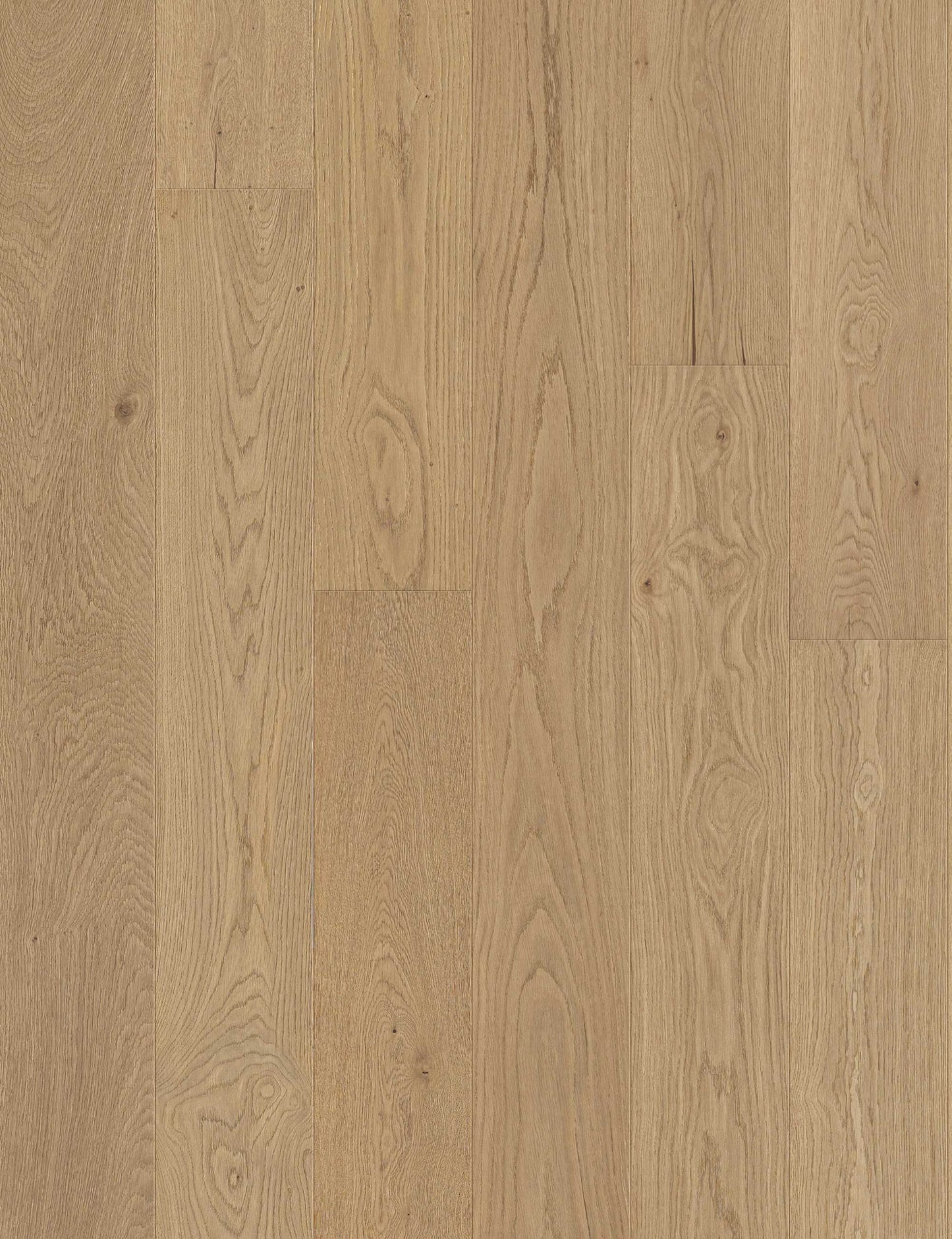 Newport Beach European Oak - Engineered Flooring - 9.5 inch