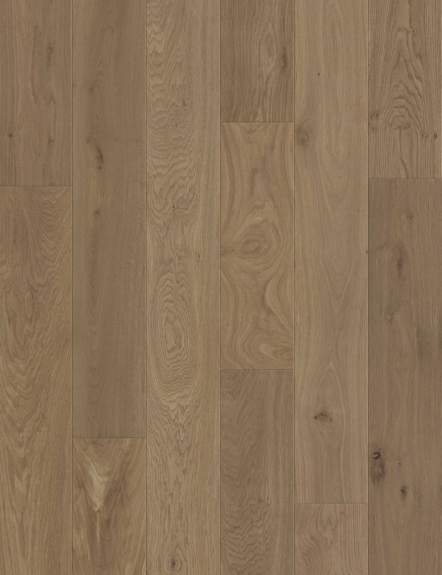 Palm Springs European Oak - Engineered Flooring - 9.5 inch
