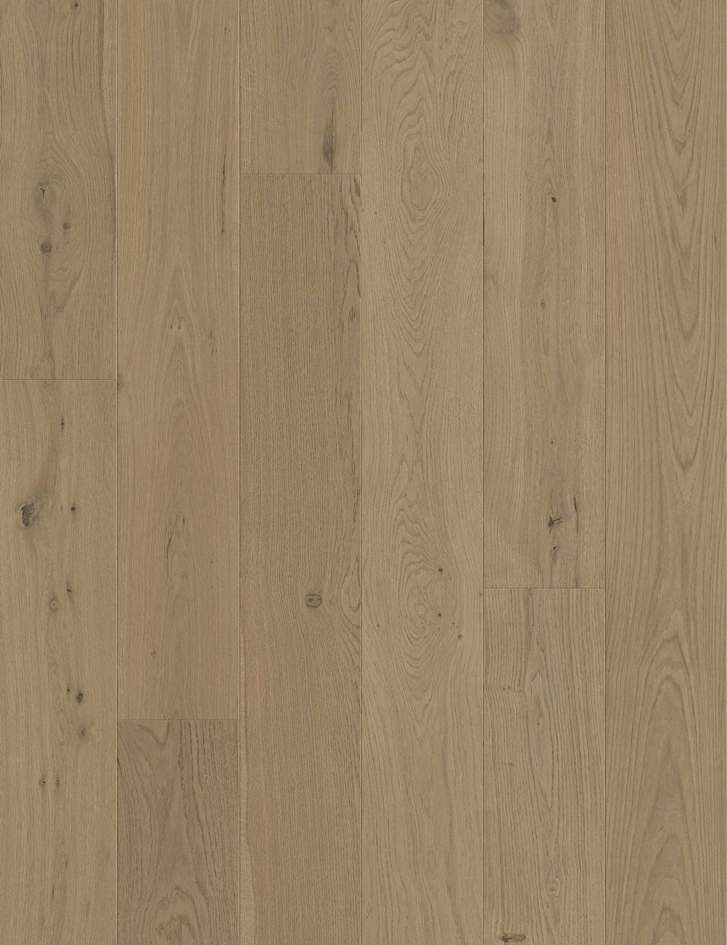 San Marcos European Oak - Engineered Flooring - 9.5 inch