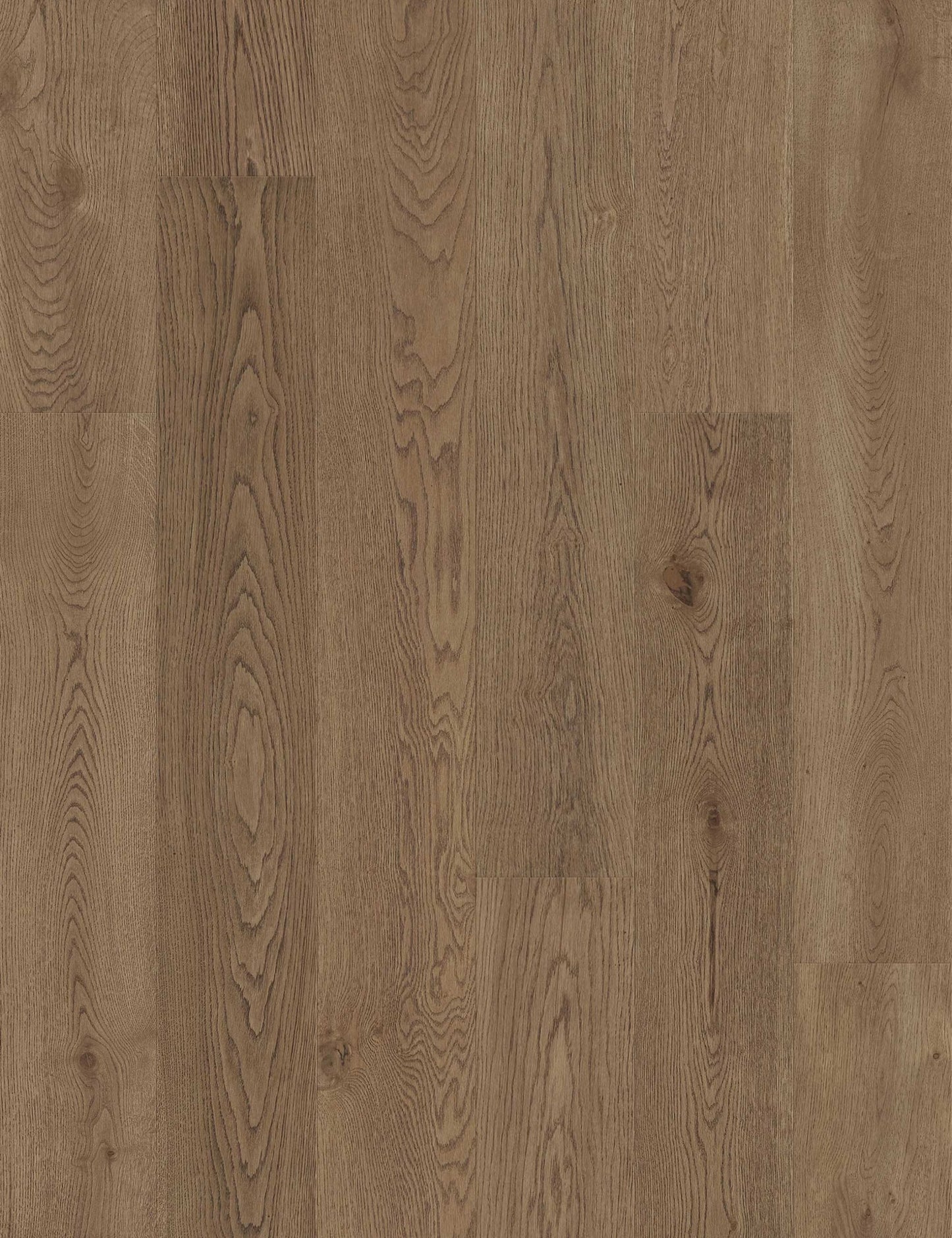 San Meteo European Oak - Engineered Flooring - 9.5 inch