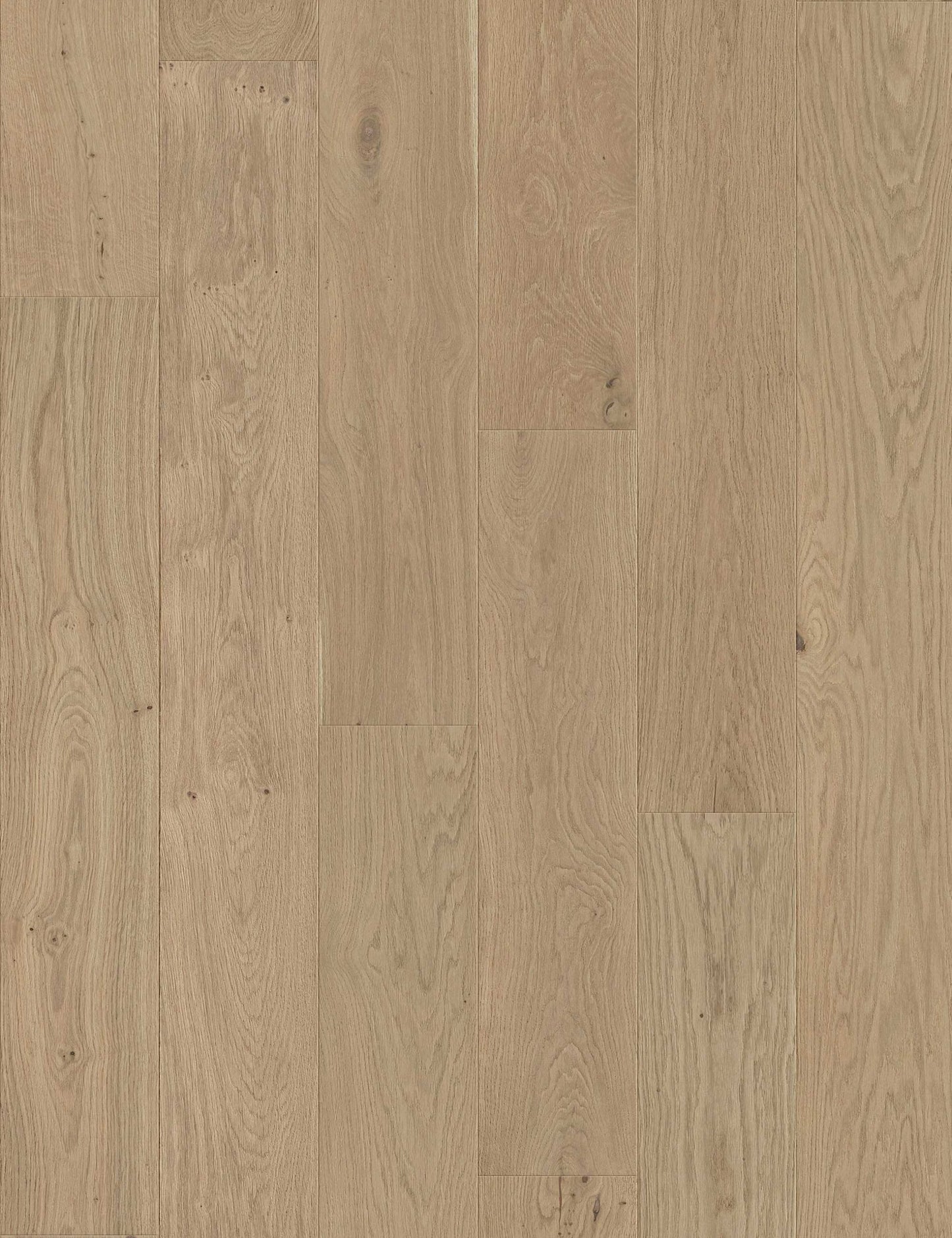 Santa Monica - European Oak - Engineered Flooring - 9.5 inch