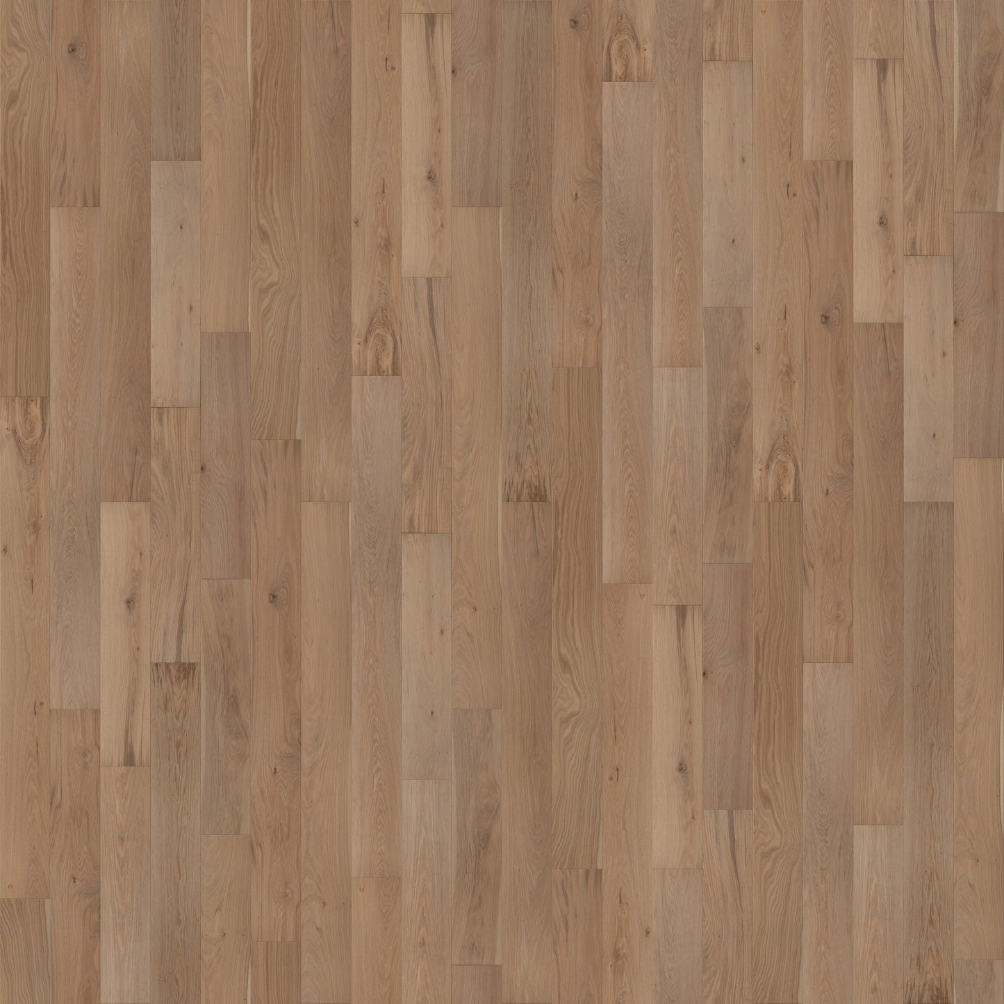 Semillon Surf - European White Oak - Engineered Flooring - 7.5 in.