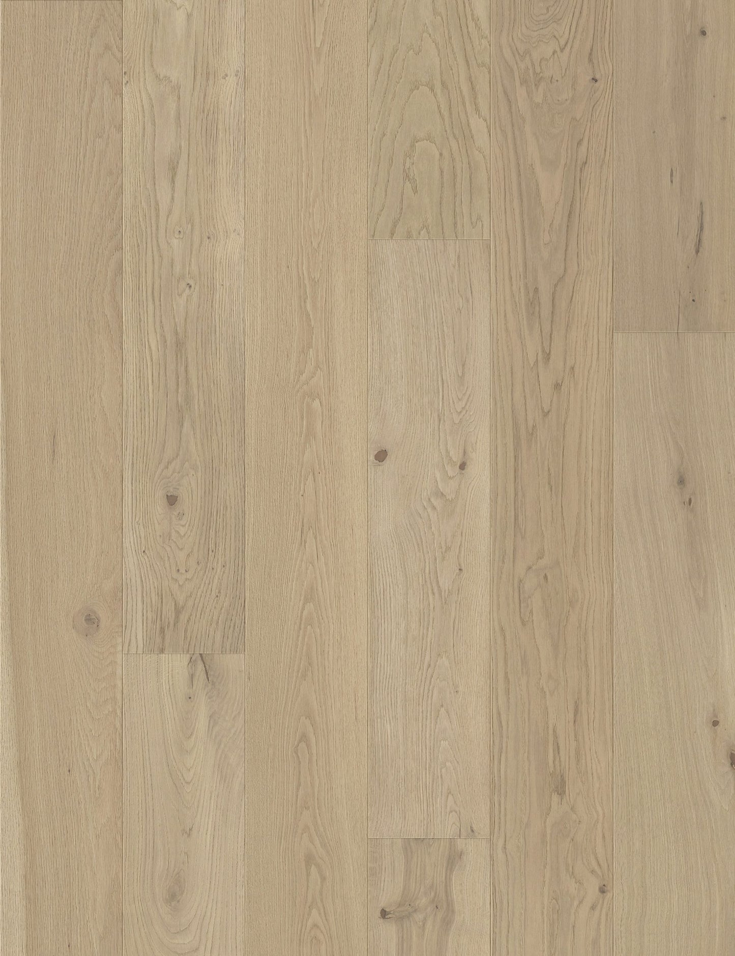 Thousand Oaks - European Oak - Engineered Flooring - 9.5 inch
