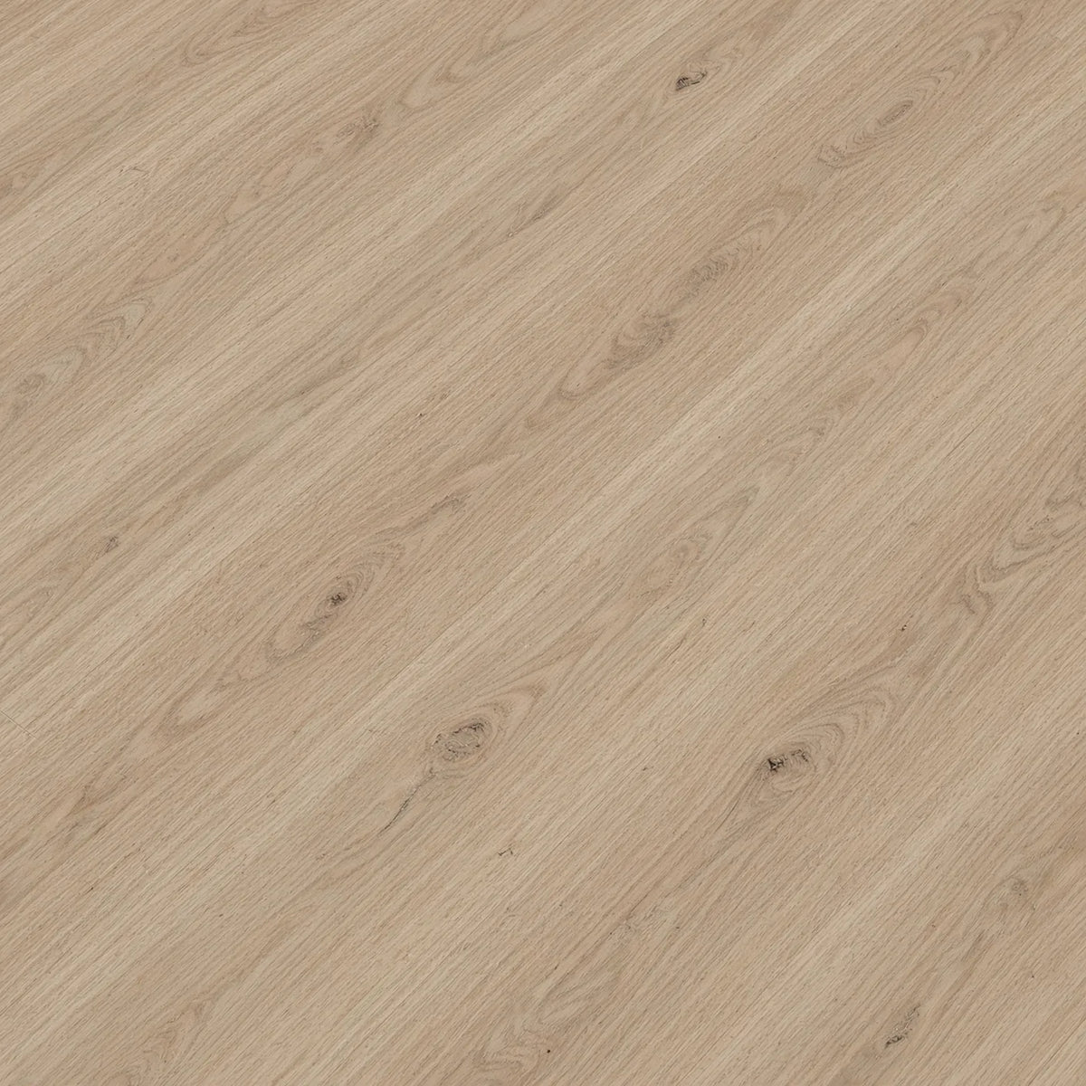 10 1/4" x 5/8" European French Oak PRIME Unfinished (SQUARE EDGE)