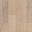 Charlotte Lumber logo
