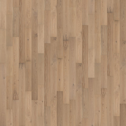 Sonoma Salt Oak - Barrel - European White Oak - Engineered Flooring - 7.5 in.