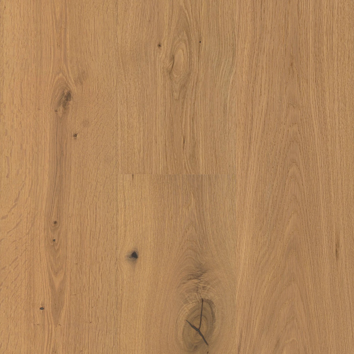 Fawn And Figure — CALI engineered European white oak