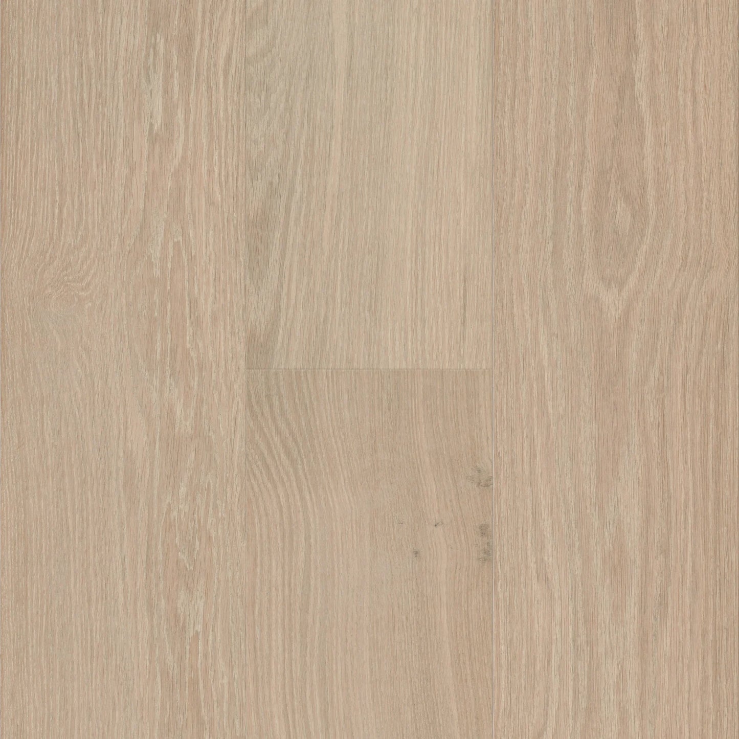 Monterey Wine — CALI engineered European white oak