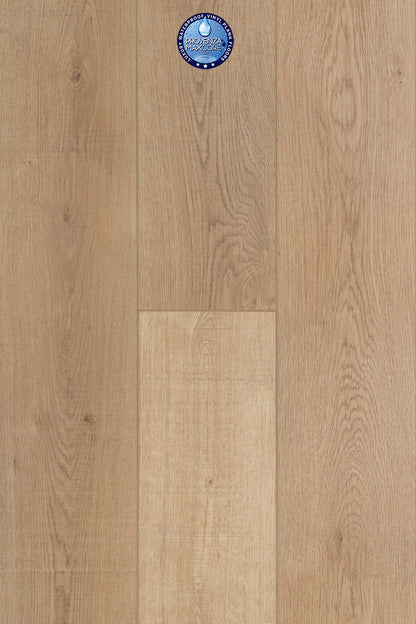 Rise N Shine - LVP Flooring - 7.15 in. width