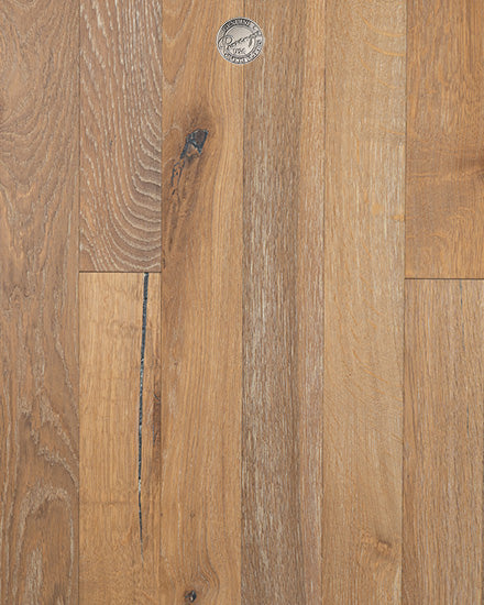 Cavalli - Provenza Studio Moderno