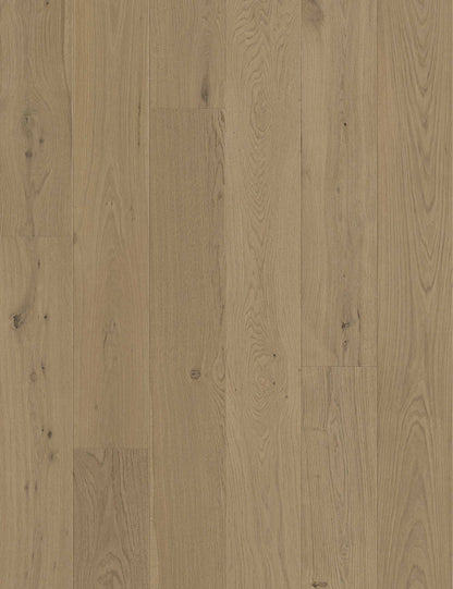 San Marcos European Oak - Engineered Flooring -  9.5 inch