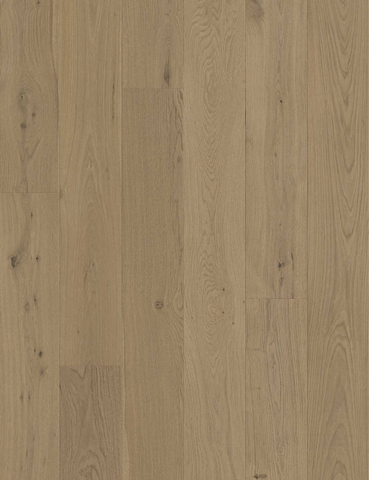 San Marcos European Oak - Engineered Flooring -  9.5 inch