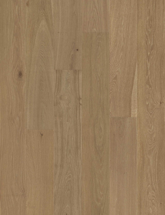 Santa Ana European Oak - Engineered Flooring -  9.5 inch