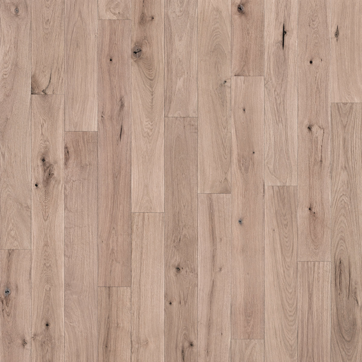 #3 Common White Oak