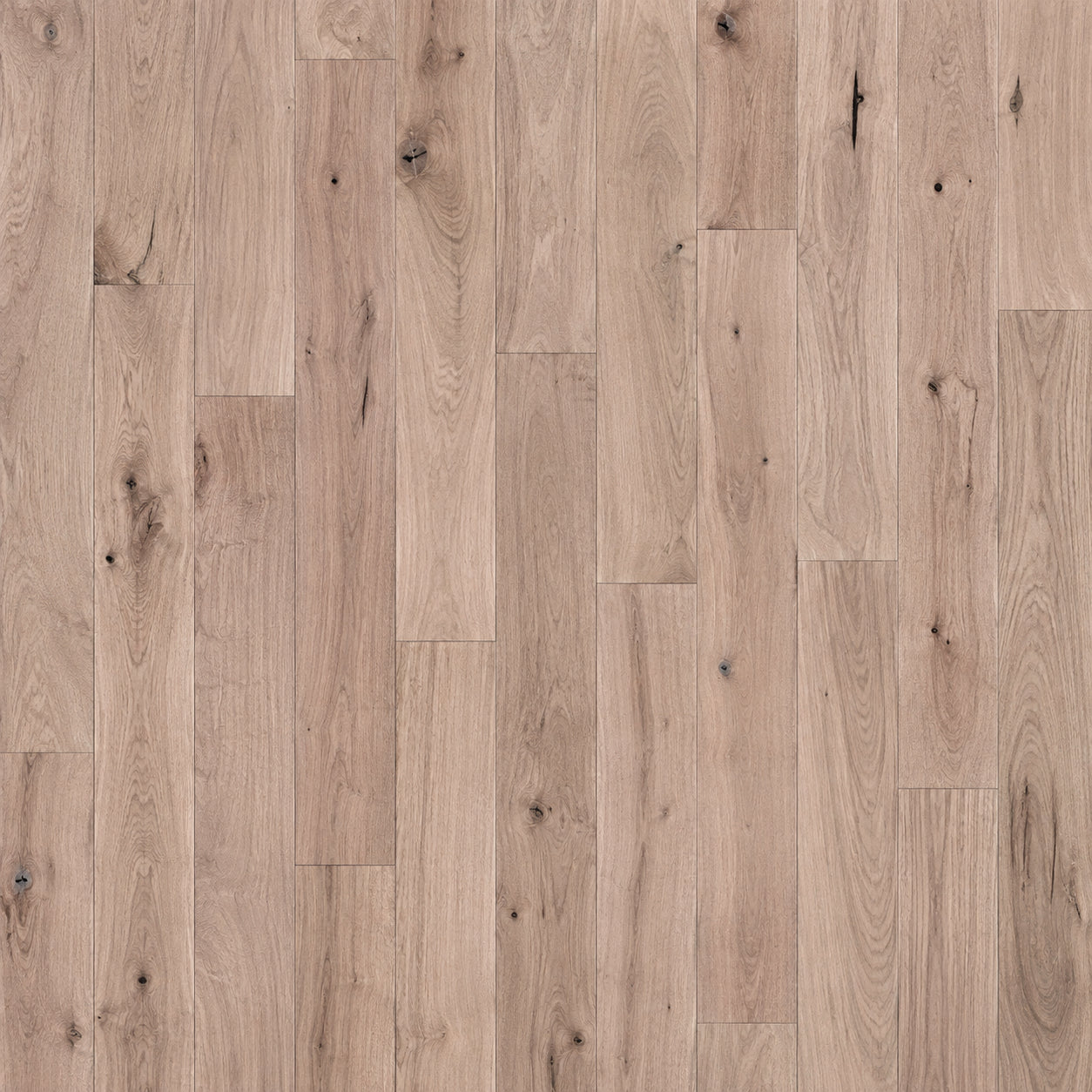 #3 Common White Oak