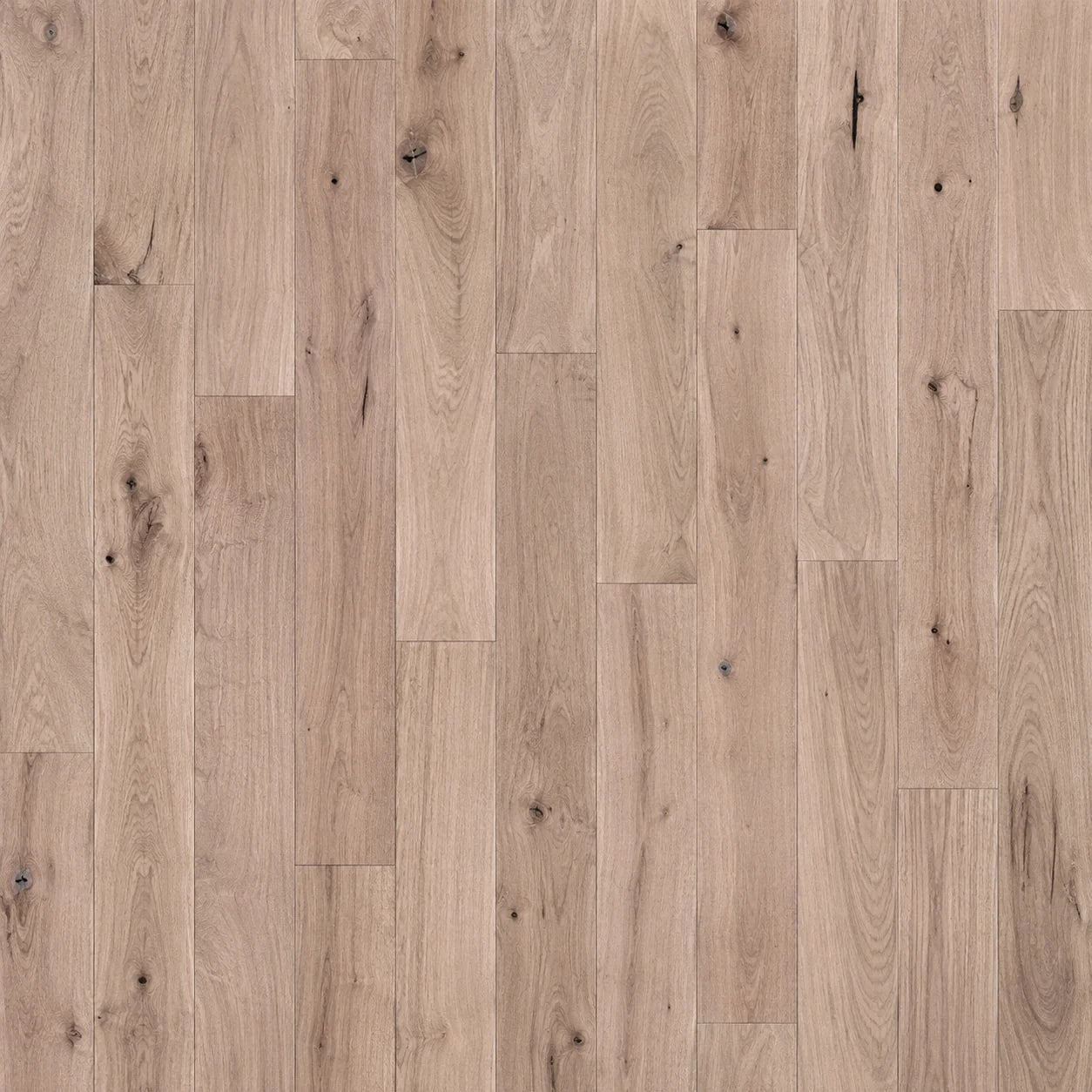 #3 Common White Oak